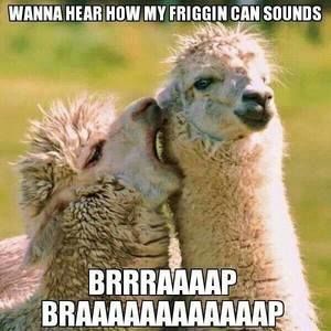 Meet your Posher, Derek